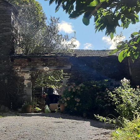 Le Petit Nid Bed & Breakfast Sablieres Exterior photo