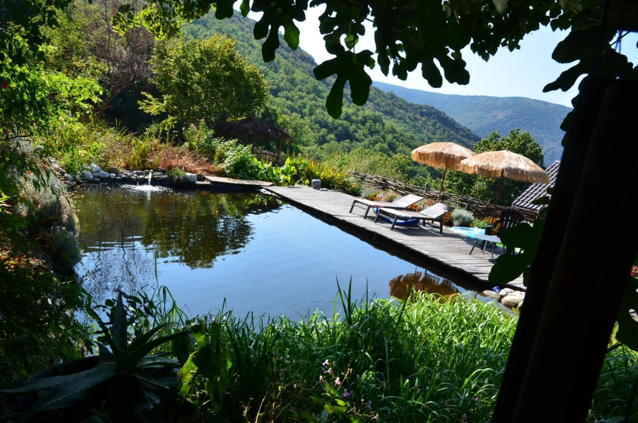 Le Petit Nid Bed & Breakfast Sablieres Exterior photo